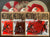 MELVINS/FLIPPER: HOT FISH -10" EP *ALL 3 EDITIONS + CD SET*