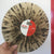 MELVINS: "Pinkus Abortion Technician" LP *FULL SET of 5 FACTORY EDITION VARIANTS*
